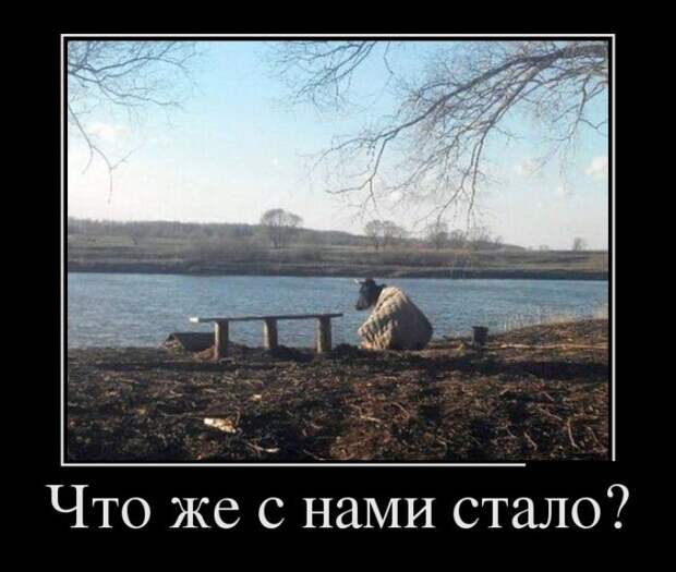 Подборка демотиваторов  демотиватор, юмор