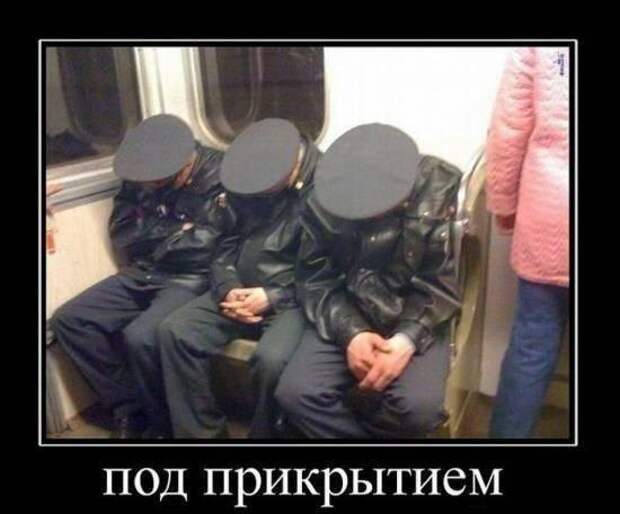 Фото, которые гарантированно поднимут вам настроение демотваторы, картинки, прикол, юмор
