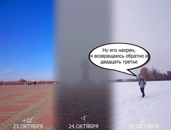 Картинки со смешными подписями картинки, прикол, юмор