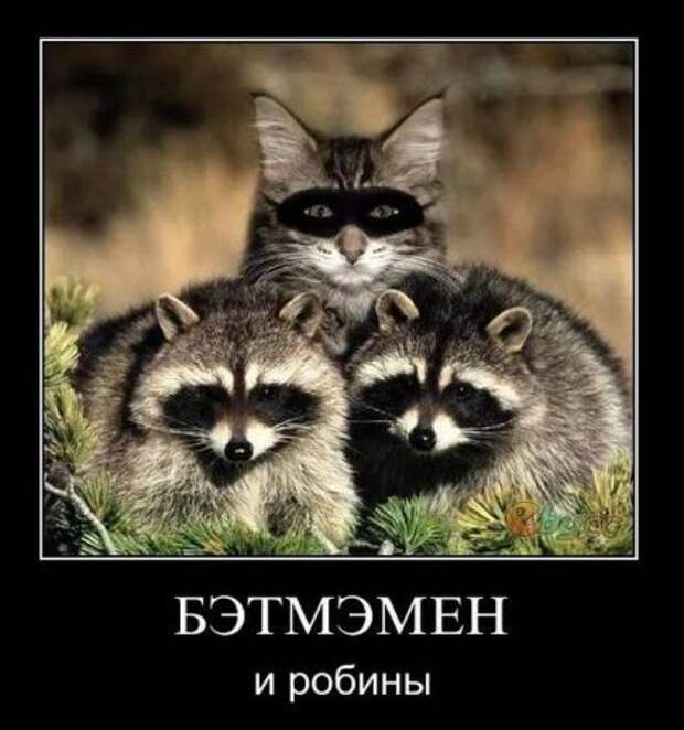 Новые смешные демотиваторы.