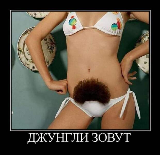 Демотиваторы демотиваторы, юмор