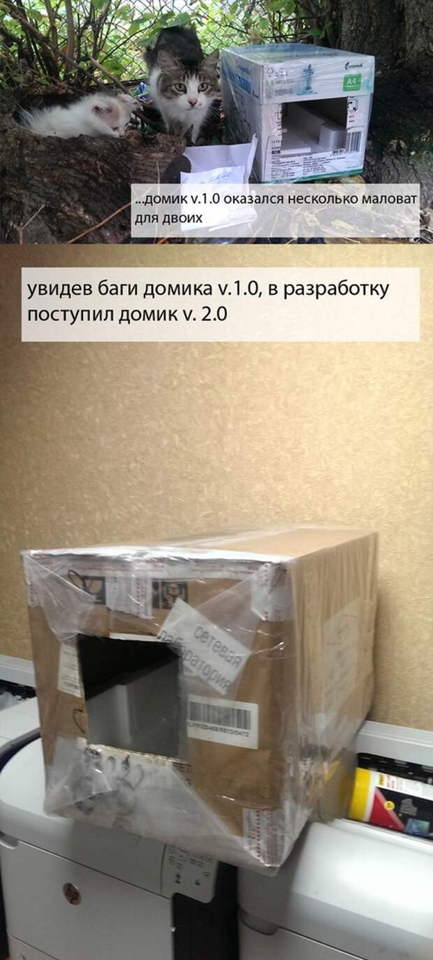 Домик для мамы и её котёнка Домик для мамы и её котёнка домик, здание, котёнок, кошка