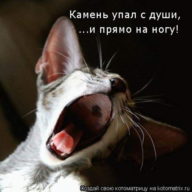 Давайте улыбаться вместе! :) (23улыбоки)