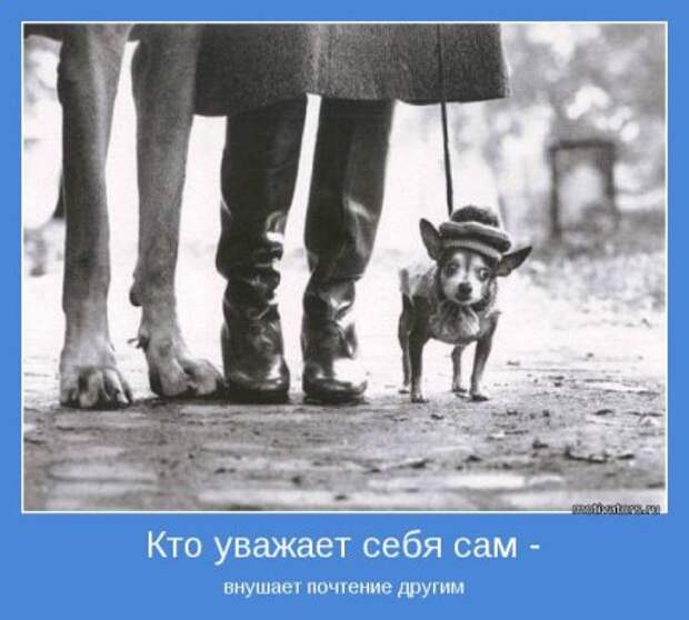 Мотиваторы, смотрим не выходя из себя.