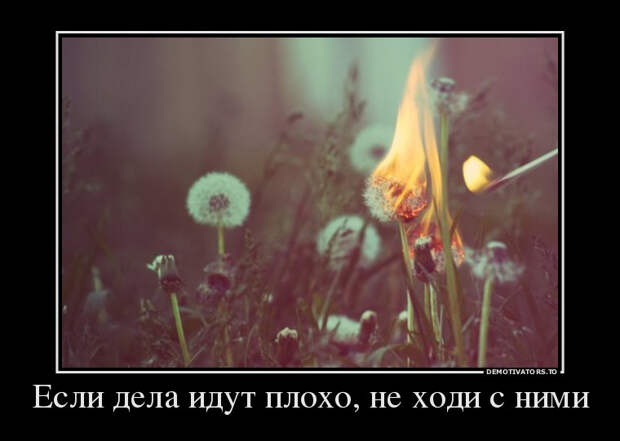 demotiv_020.jpg demotiv_020.jpg