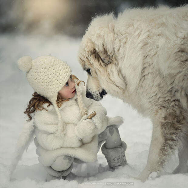 Зимние прогулки  дружба, ребенок, собака