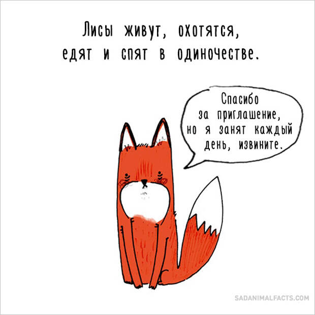 печальные факты о животных 