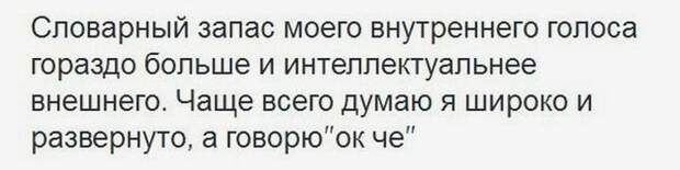 Смешные картинки с подписями катинки, прикол, юмор