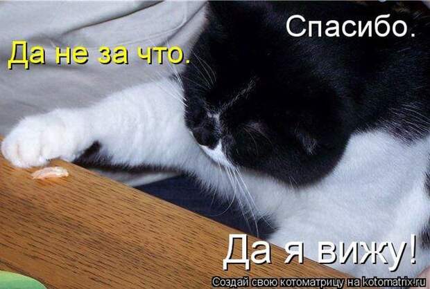 Мысли вслух :)