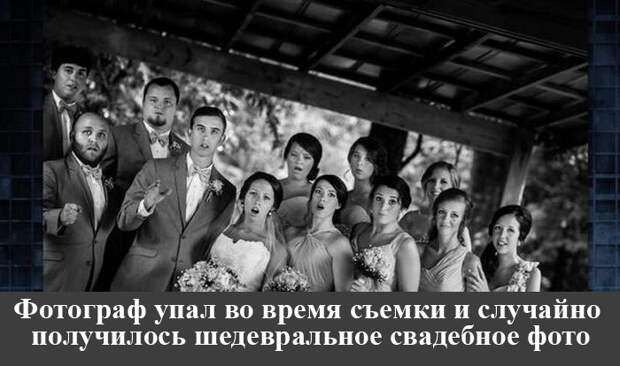 Прикольные картинки (95 фото)