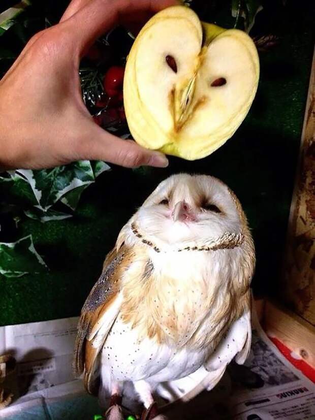 829