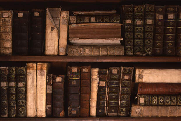 мужчина в библиотеке. шекспир 15 томов собрание. люди в библиотеке. книги на полке. шестьюдесятью книгами.