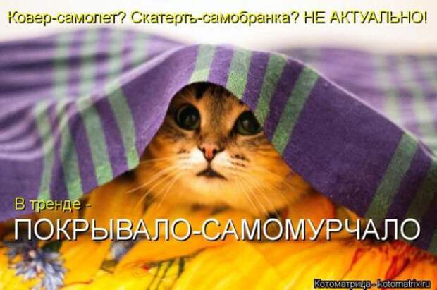 Котоматрицы (картинки с надписями)