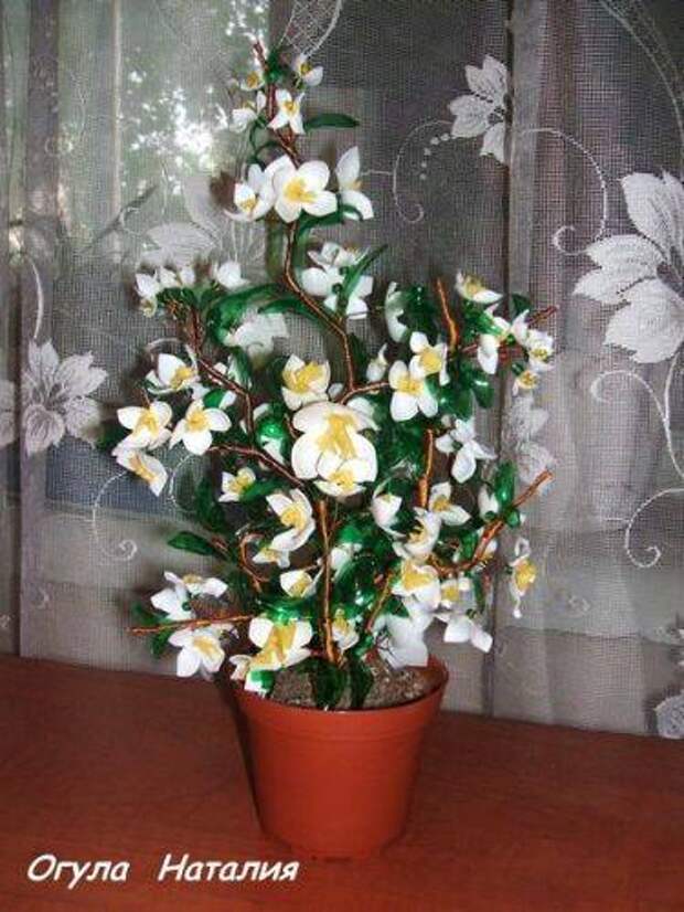 b2ap3_thumbnail_DSCF3759-02.jpg b2ap3_thumbnail_DSCF3759-02.jpg