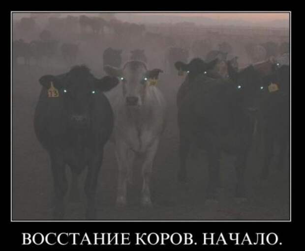Самые смешные демотиваторы только у нас!
