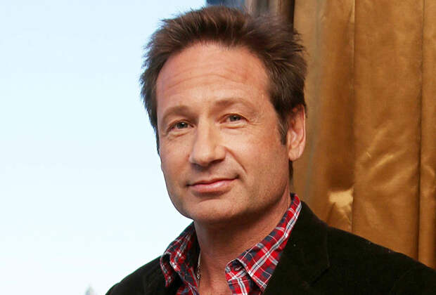 david
