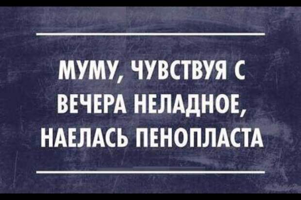 Просто картинки хорошего настроения нарочно не придумаешь, юмор