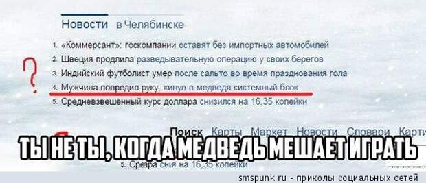 Мужчина повредил руку, кинув в медведя системный блок