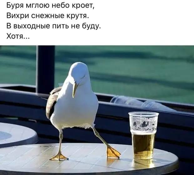 Третий месяц ремонта... Уже переворачиваем котлеты шпателем Третий месяц ремонта... Уже переворачиваем котлеты шпателем говорит, говночистом, мужичок, кондишн, жизнь, голос, табуретки, сегодня, берутся, Фекла, Большой, город, стоит, Видишь, минут, убавь, официанта, подзывает, рубль, Вторая