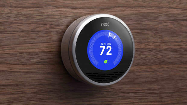 nest