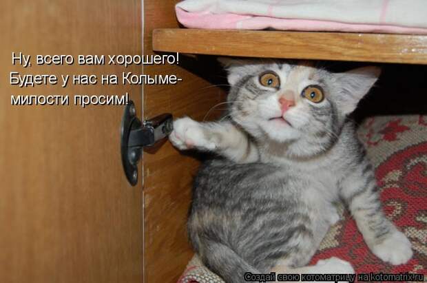 Вам просим милостей Вам просим милостей
