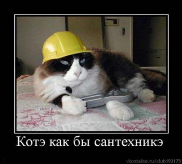 Димотиваторы прикол