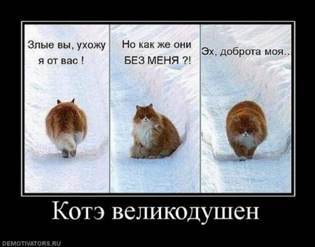 Демотиваторы Демотиваторы демотиваторы, прикол, юмор