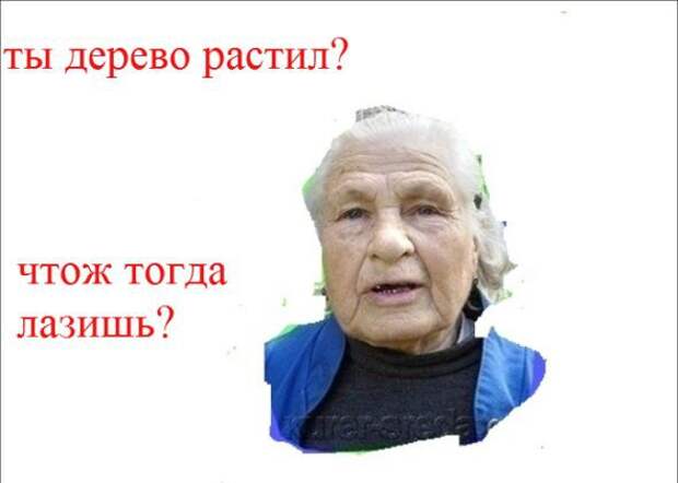 Кто такая бабушка бабушка, мем, прикол, юмор
