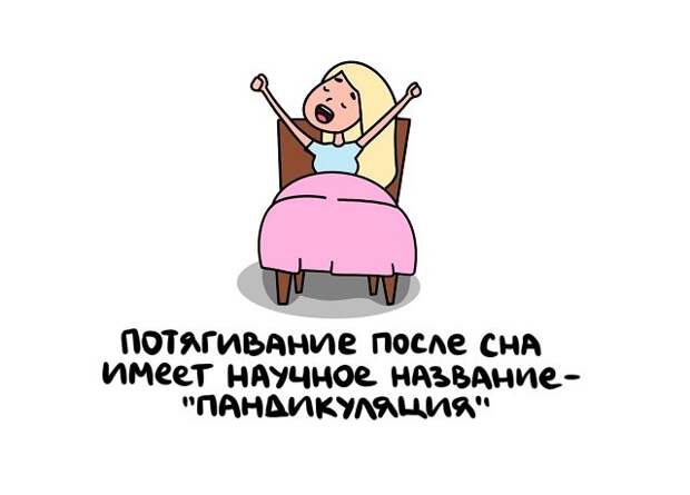Интересные и короткие факты на все случаи жизни