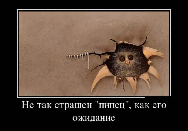 Демотиваторы №1069 (30 фото)