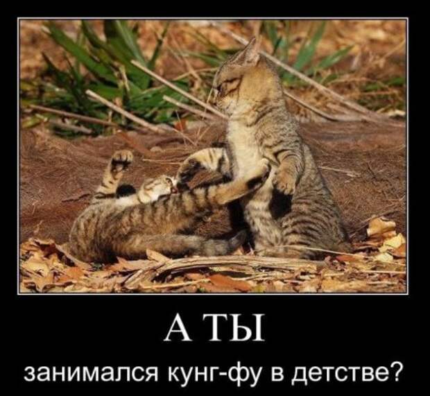 Демотиваторы, мотивирующие своими приколами и смешными подписями.