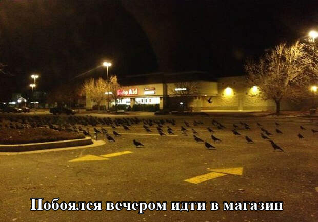 Прикольные картинки (98 фото)