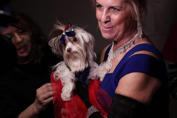 New York Pet Fashion Show