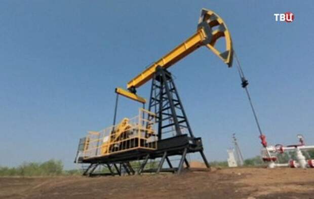 Новак прокомментировал итоги встречи по нефти в Дохе