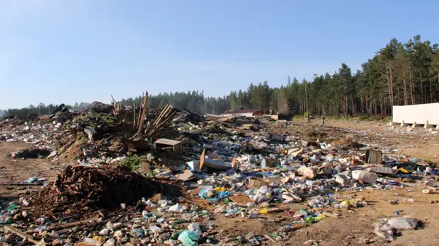 В Совбезе России отметили ежегодный рост числа несанкционированных свалок