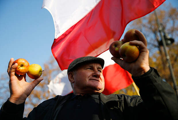 Польские фермеры протестуют против правительства, которое не оказало им должной помощи после введения Россией «антисанкций». 