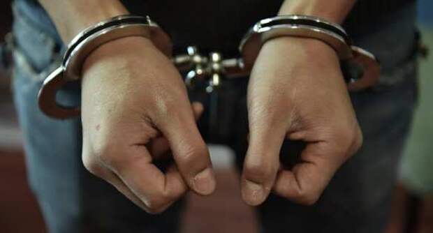 В Германии задержали экс-главу Генштаба Грузии | Русская весна