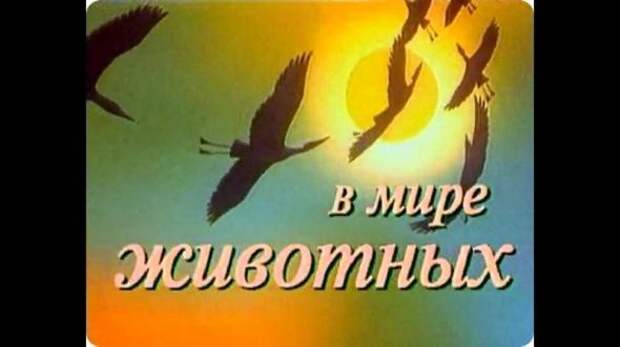 По волнам нашей памяти! Телевидение нашего детства По волнам нашей памяти! Телевидение нашего детства