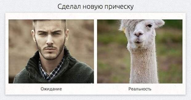 ожидание против реальности, смешная подборка, фото, смешные картинки