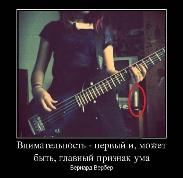 Демотиваторы (30 фото)