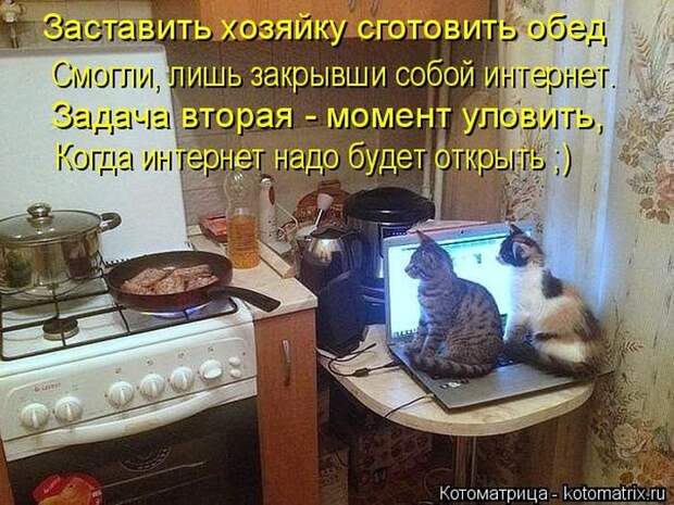 Прикольные котоматрицы - смешные кошки Прикольные котоматрицы - смешные кошки