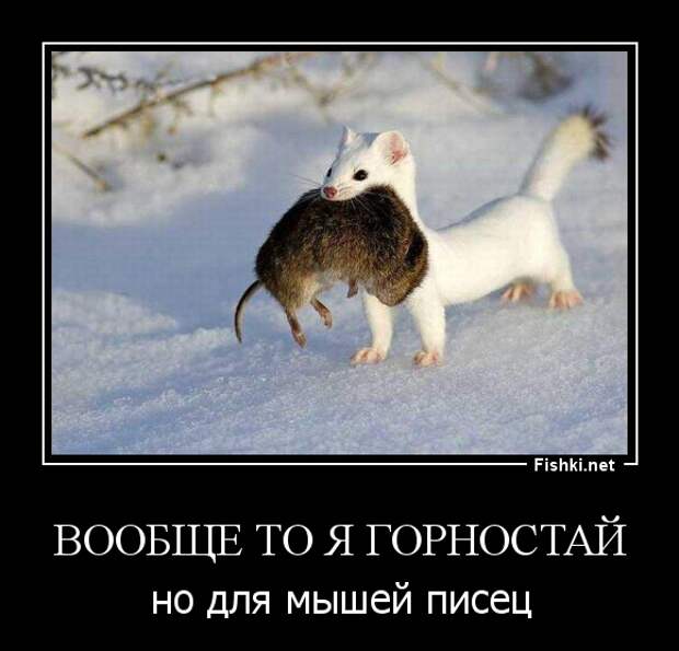 Демотиваторы демотиваторы, прикол, смех, юмор