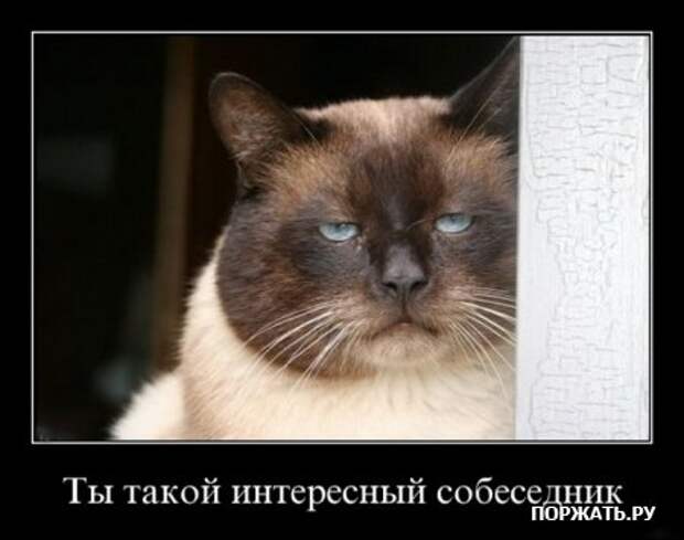 Демотиваторы ржачные прикольные, новый юмор.