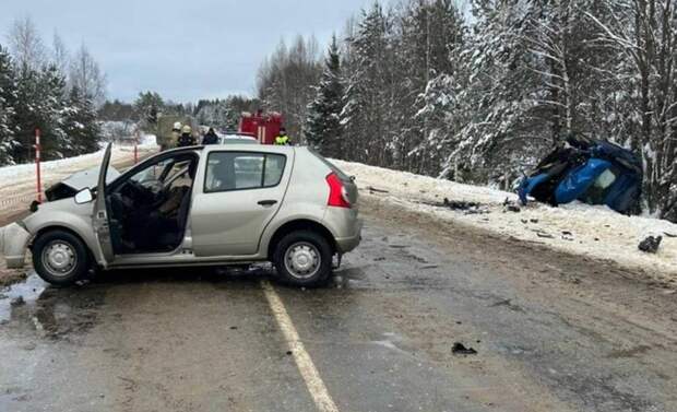 За ДТП с двумя погибшими пенсионерами будут судить водителя из Пестова