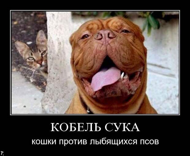 Подборка демотиваторов (84 фото)