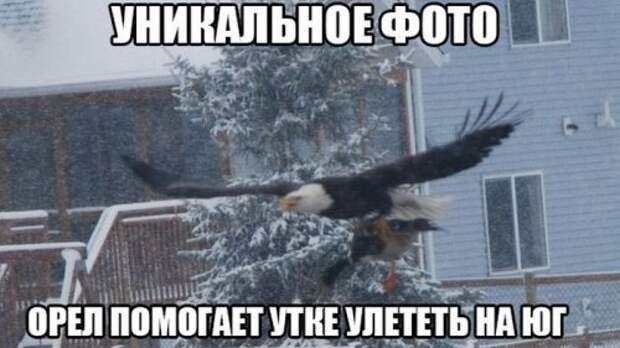 Смотрим прикольные картинки (49 шт)