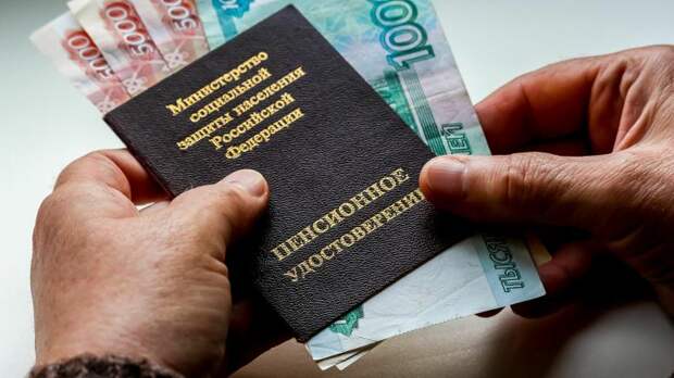 Профессор Плехановского университета  назвала условия досрочного выхода на пенсию 