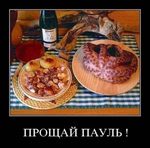 Демотиваторы фото прикольно!