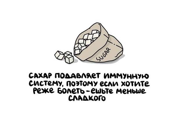 Интересные и короткие факты на все случаи жизни