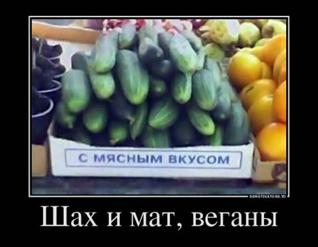 Свежие демотиваторы (17 шт)